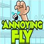 Annoying Fly