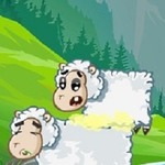 Sheep Stacking